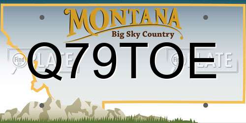 Q79TOE Montana License Plate