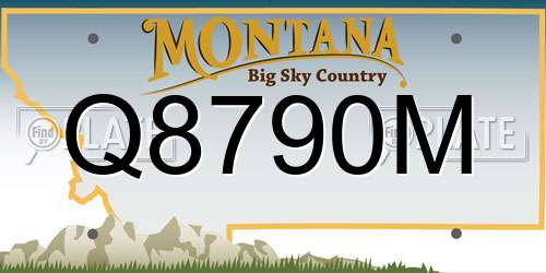 Q8790M Montana License Plate