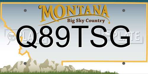 Q89TSG Montana License Plate