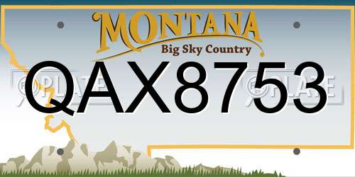 QAX8753 Montana License Plate