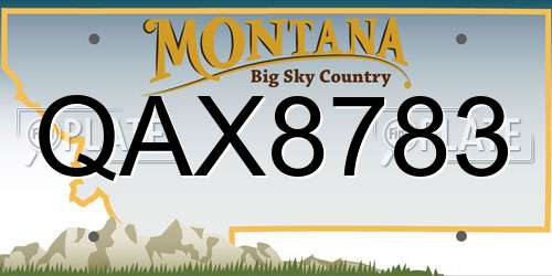 QAX8783 Montana License Plate