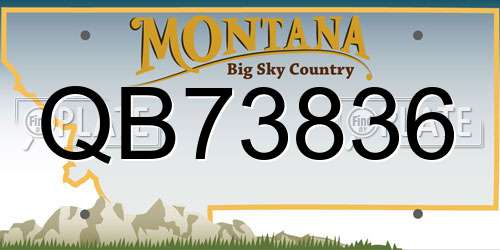 QB73836 Montana License Plate