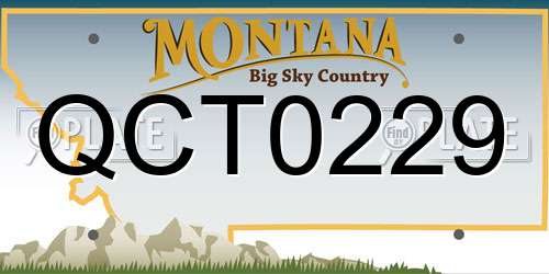 QCT0229 Montana License Plate