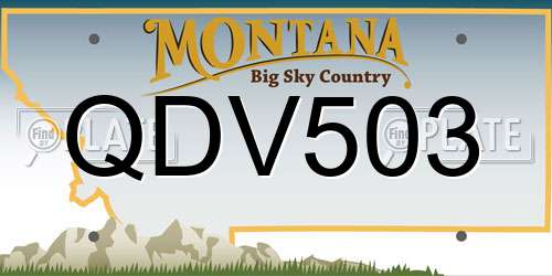 QDV503 Montana License Plate