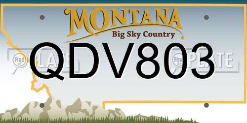 QDV803 Montana License Plate