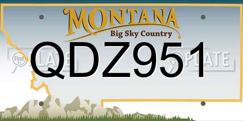 QDZ951 Montana License Plate