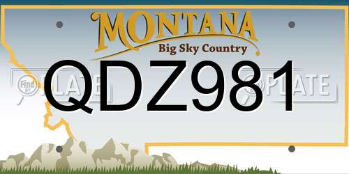QDZ981 Montana License Plate