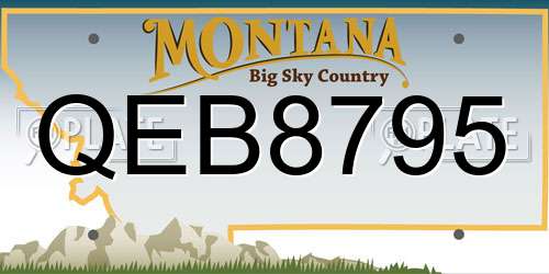QEB8795 Montana License Plate
