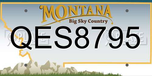QES8795 Montana License Plate