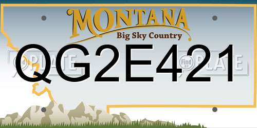QG2E421 Montana License Plate