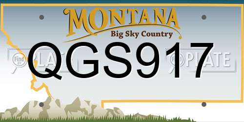 QGS917 Montana License Plate