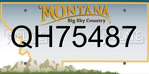 QH75487 Montana License Plate