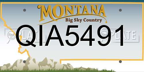 QIA5491 Montana License Plate