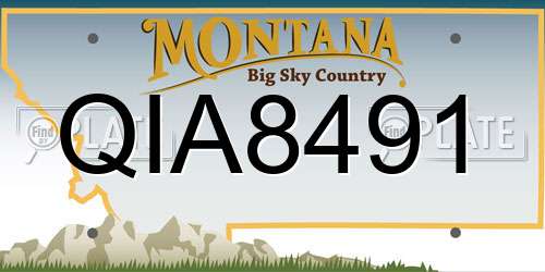 QIA8491 Montana License Plate