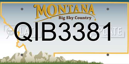 QIB3381 Montana License Plate
