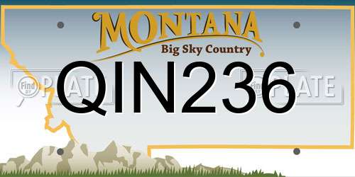 QIN236 Montana License Plate