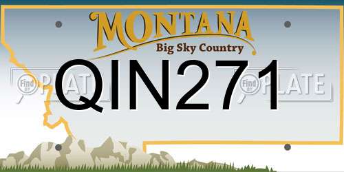 QIN271 Montana License Plate