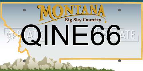 QINE66 Montana License Plate