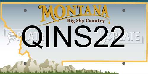 QINS22 Montana License Plate