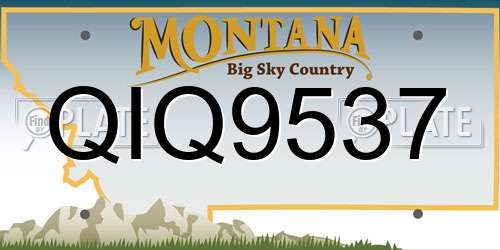 QIQ9537 Montana License Plate