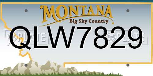 QLW7829 Montana License Plate