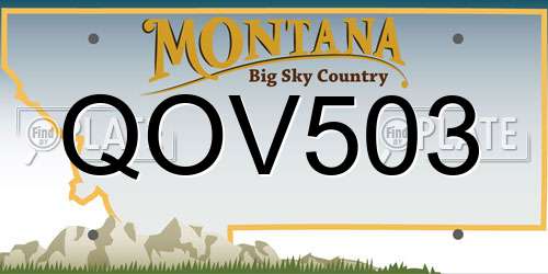 QOV503 Montana License Plate