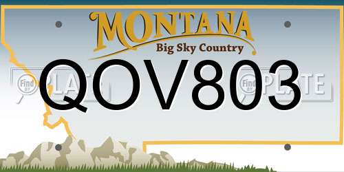 QOV803 Montana License Plate