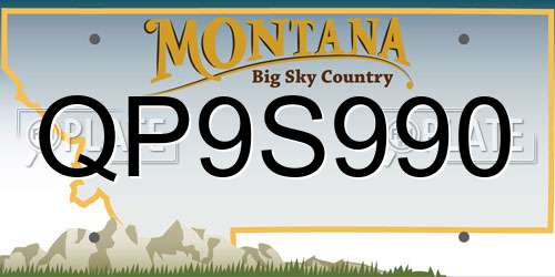 QP9S990 Montana License Plate