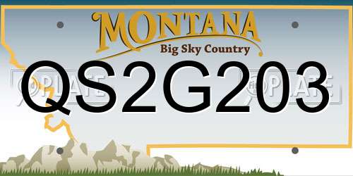 QS2G203 Montana License Plate