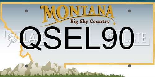 QSEL90 Montana License Plate