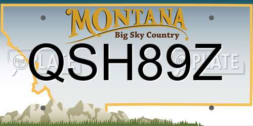 QSH89Z Montana License Plate