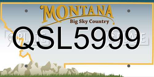 QSL5999 Montana License Plate