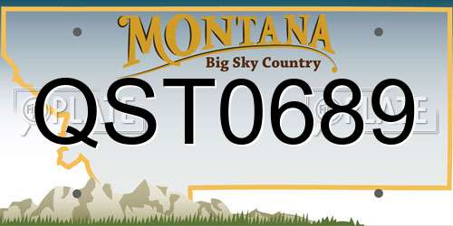 QST0689 Montana License Plate
