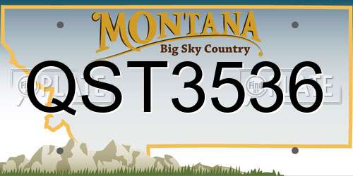 QST3536 Montana License Plate