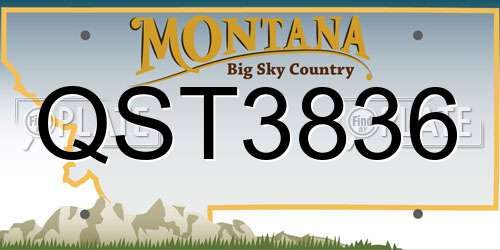 QST3836 Montana License Plate