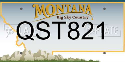 QST821 Montana License Plate