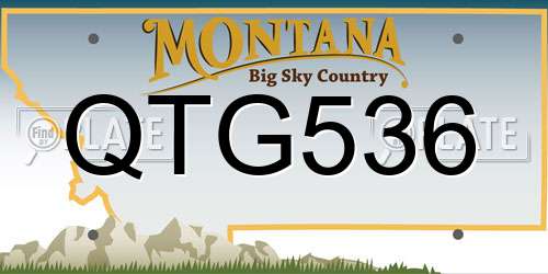 QTG536 Montana License Plate