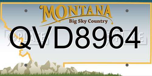 QVD8964 Montana License Plate
