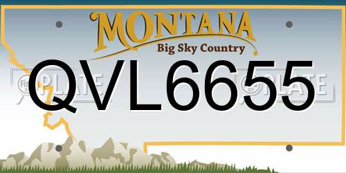 QVL6655 Montana License Plate
