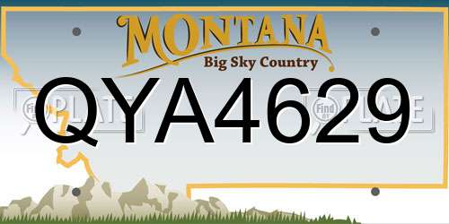 QYA4629 Montana License Plate