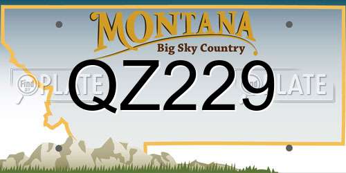 QZ229 Montana License Plate