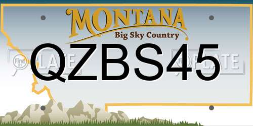 QZBS45 Montana License Plate