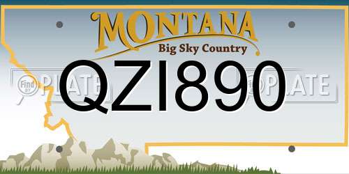 QZI890 Montana License Plate