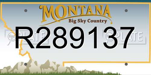 R289137 Montana License Plate