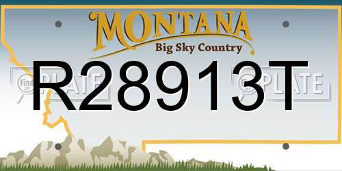 R28913T Montana License Plate
