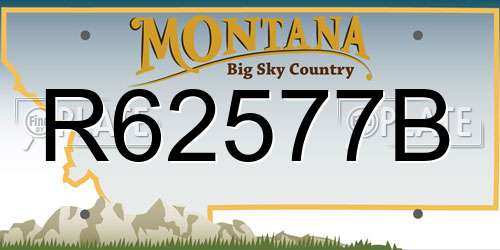 R62577B Montana License Plate