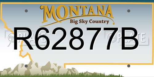 R62877B Montana License Plate