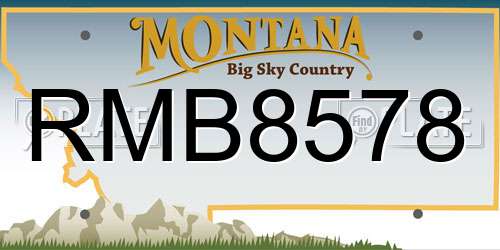 RMB8578 Montana License Plate