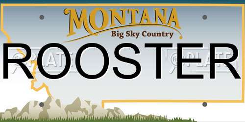 ROOSTER Montana License Plate