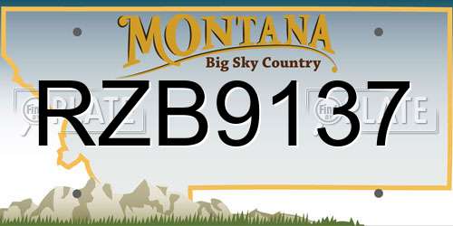RZB9137 Montana License Plate
